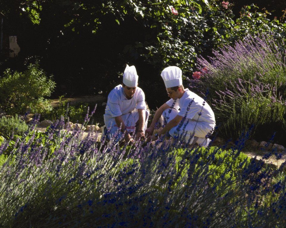 Chateau De Montcaud Sabran 외부 사진